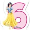 Procos Kuchenkerze Zahl 6 Disney Princess Dreaming